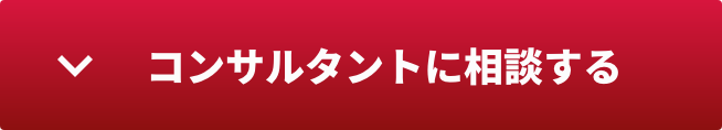 コンサルタントに相談する